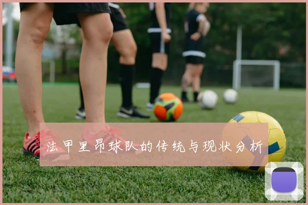 法甲里昂球队的传统与现状分析