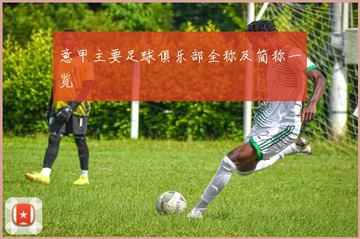 意甲主要足球俱乐部全称及简称一览