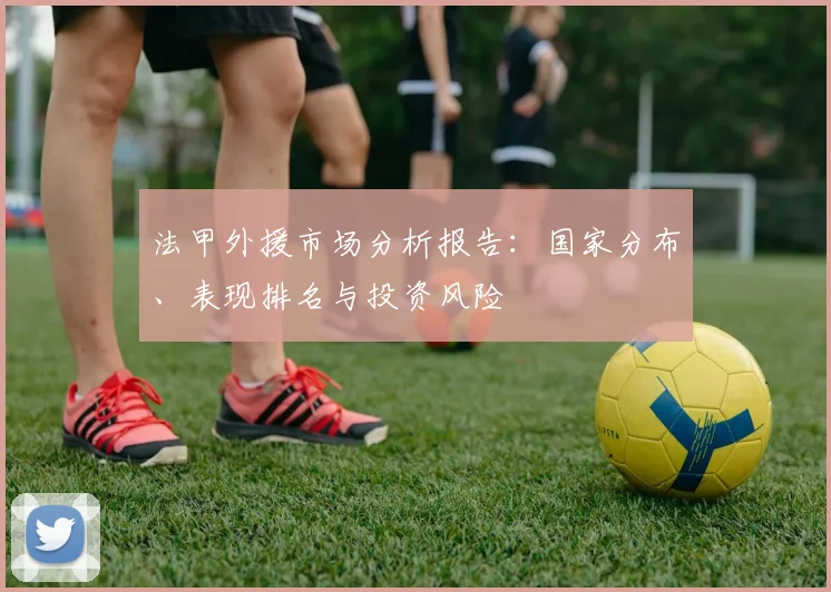 法甲外援市场分析报告：国家分布、表现排名与投资风险