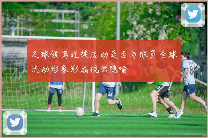 足球候鸟迁徙活动是否与球员全球流动形象形成视觉隐喻