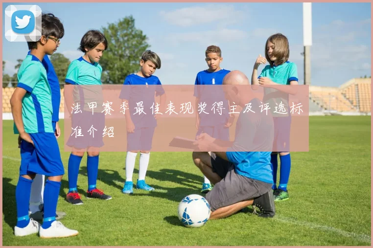 法甲赛季最佳表现奖得主及评选标准介绍