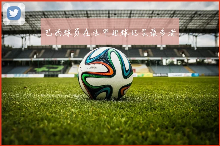 巴西球员在法甲进球记录最多者