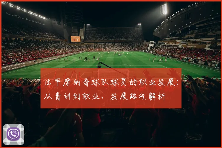 法甲摩纳哥球队球员的职业发展：从青训到职业，发展路径解析