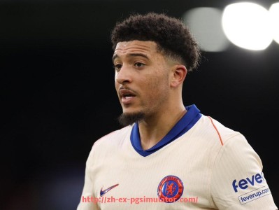 PG电子在线试玩入口-如何观看NBA火箭队比赛的最佳途径推荐